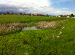 Génie civil et rural